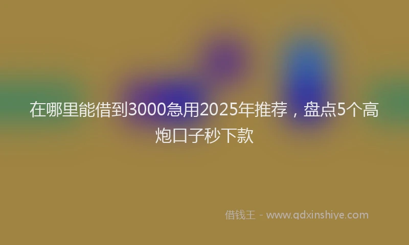 在哪里能借到3000急用2025年推荐，盘点5个高炮口子秒下款