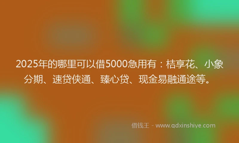 2025年的哪里可以借5000急用有：桔享花、小象分期、速贷侠通、臻心贷、现金易融通途等。