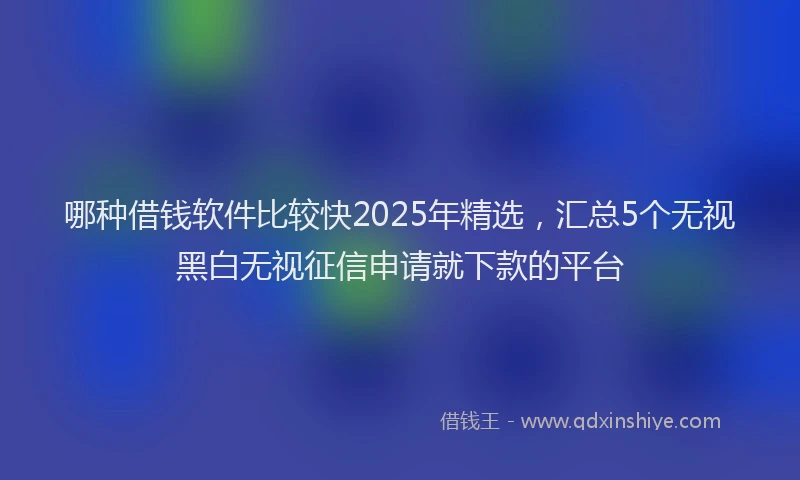 哪种借钱软件比较快2025年精选，汇总5个无视黑白无视征信申请就下款的平台