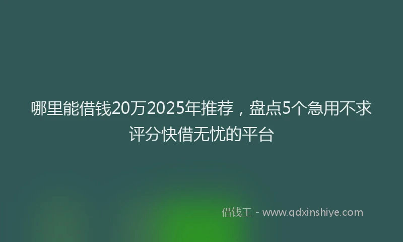 哪里能借钱20万2025年推荐，盘点5个急用不求评分快借无忧的平台