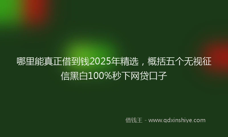哪里能真正借到钱2025年精选，概括五个无视征信黑白100%秒下网贷口子