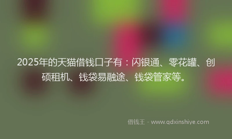 2025年的天猫借钱口子有：闪银通、零花罐、创硕租机、钱袋易融途、钱袋管家等。