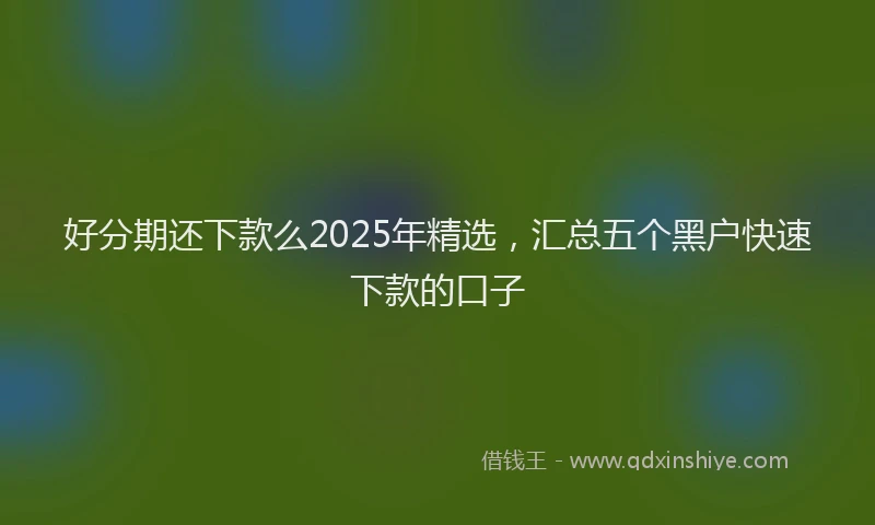 好分期还下款么2025年精选，汇总五个黑户快速下款的口子
