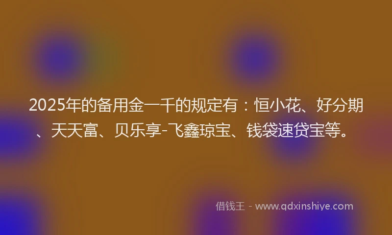 2025年的备用金一千的规定有：恒小花、好分期、天天富、贝乐享-飞鑫琼宝、钱袋速贷宝等。