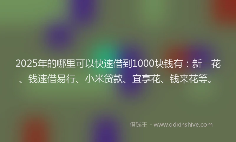 2025年的哪里可以快速借到1000块钱有：新一花、钱速借易行、小米贷款、宜享花、钱来花等。