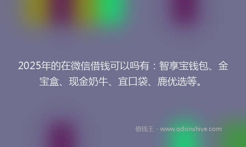 2025年的在微信借钱可以吗有：智享宝钱包、金宝盒、现金奶牛、宜口袋、鹿优选等。