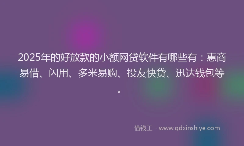 2025年的好放款的小额网贷软件有哪些有：惠商易借、闪用、多米易购、投友快贷、迅达钱包等。