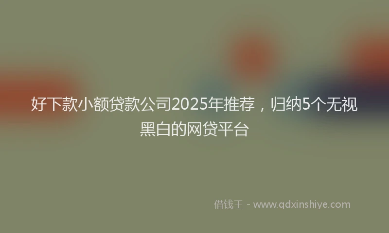 好下款小额贷款公司2025年推荐，归纳5个无视黑白的网贷平台