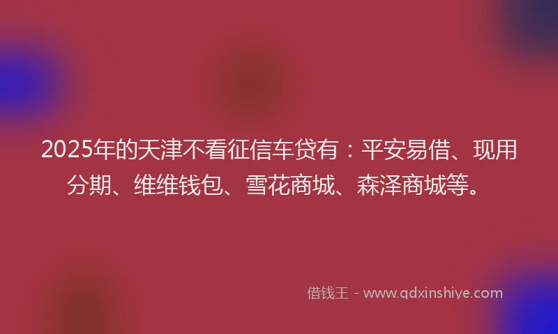 2025年的天津不看征信车贷有：平安易借、现用分期、维维钱包、雪花商城、森泽商城等。
