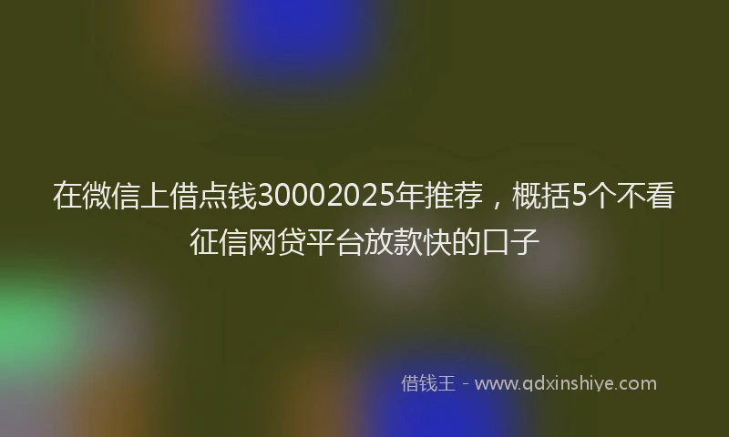 在微信上借点钱30002025年推荐，概括5个不看征信网贷平台放款快的口子
