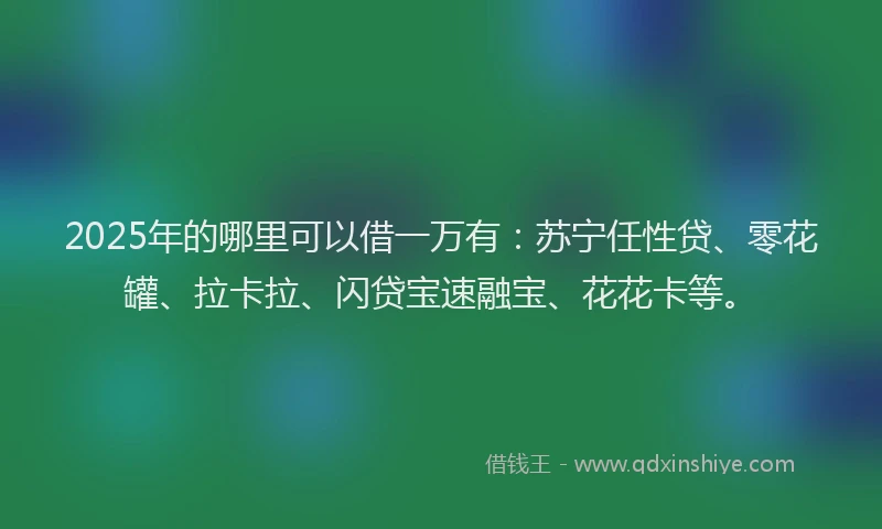 2025年的哪里可以借一万有：苏宁任性贷、零花罐、拉卡拉、闪贷宝速融宝、花花卡等。