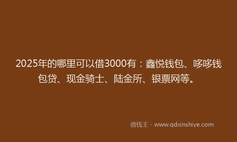 2025年的哪里可以借3000有：鑫悦钱包、哆哆钱包贷、现金骑士、陆金所、银票网等。