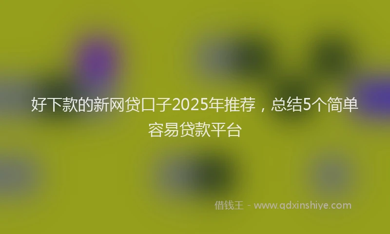 好下款的新网贷口子2025年推荐，总结5个简单容易贷款平台