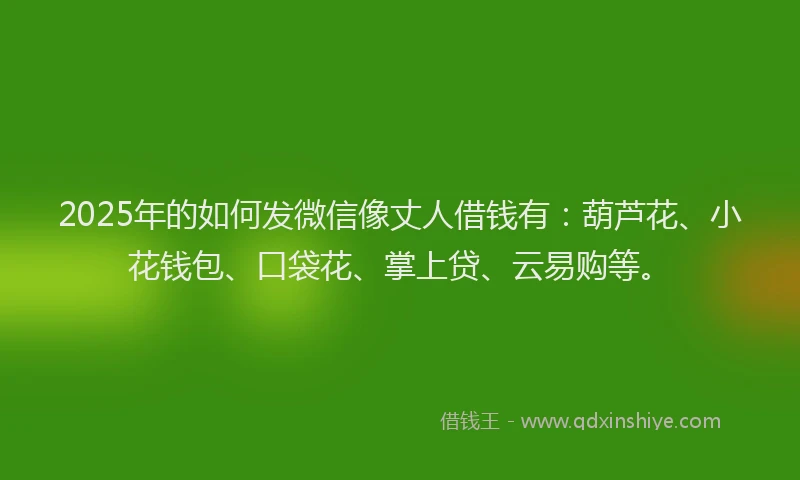 2025年的如何发微信像丈人借钱有：葫芦花、小花钱包、口袋花、掌上贷、云易购等。