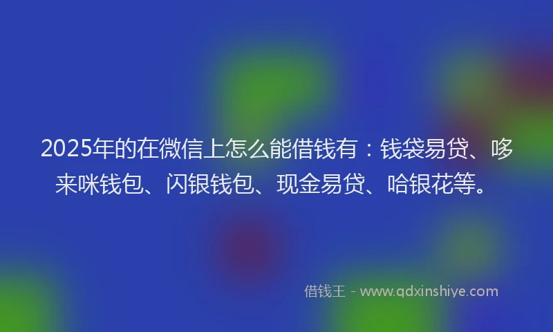 2025年的在微信上怎么能借钱有：钱袋易贷、哆来咪钱包、闪银钱包、现金易贷、哈银花等。