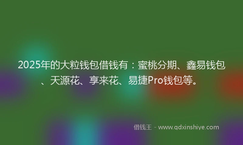 2025年的大粒钱包借钱有：蜜桃分期、鑫易钱包、天源花、享来花、易捷Pro钱包等。