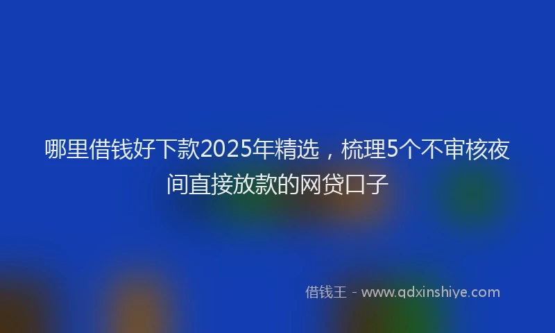 哪里借钱好下款2025年精选，梳理5个不审核夜间直接放款的网贷口子