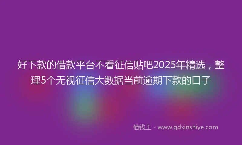 好下款的借款平台不看征信贴吧2025年精选，整理5个无视征信大数据当前逾期下款的口子
