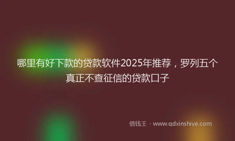 哪里有好下款的贷款软件2025年推荐，罗列五个真正不查征信的贷款口子