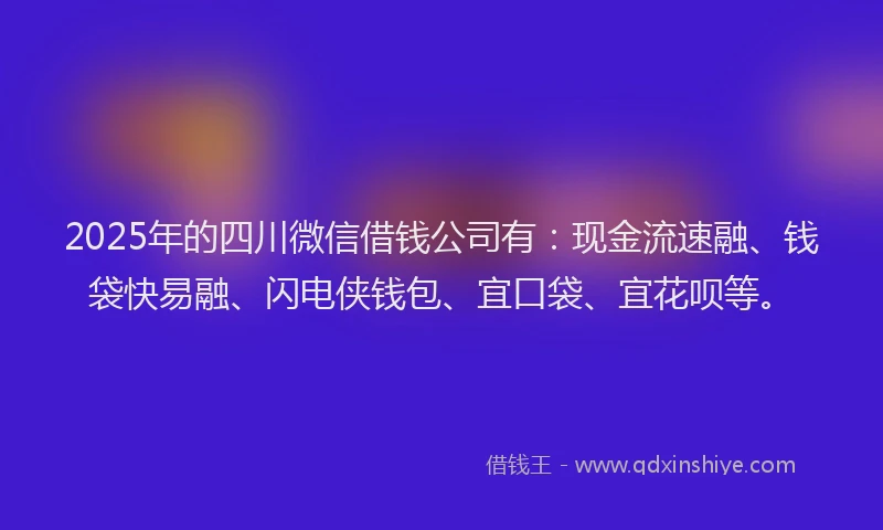 2025年的四川微信借钱公司有：现金流速融、钱袋快易融、闪电侠钱包、宜口袋、宜花呗等。
