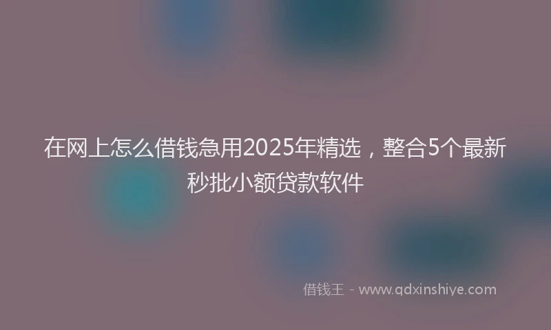 在网上怎么借钱急用2025年精选，整合5个最新秒批小额贷款软件