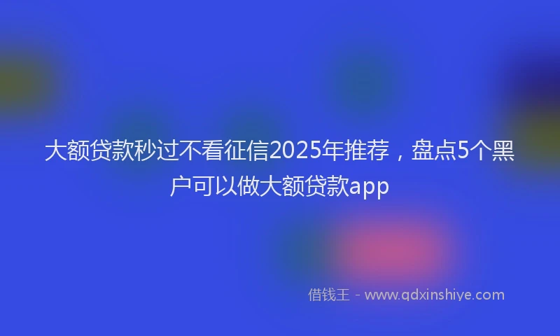 大额贷款秒过不看征信2025年推荐，盘点5个黑户可以做大额贷款app