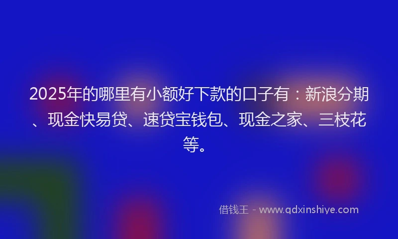 2025年的哪里有小额好下款的口子有：新浪分期、现金快易贷、速贷宝钱包、现金之家、三枝花等。