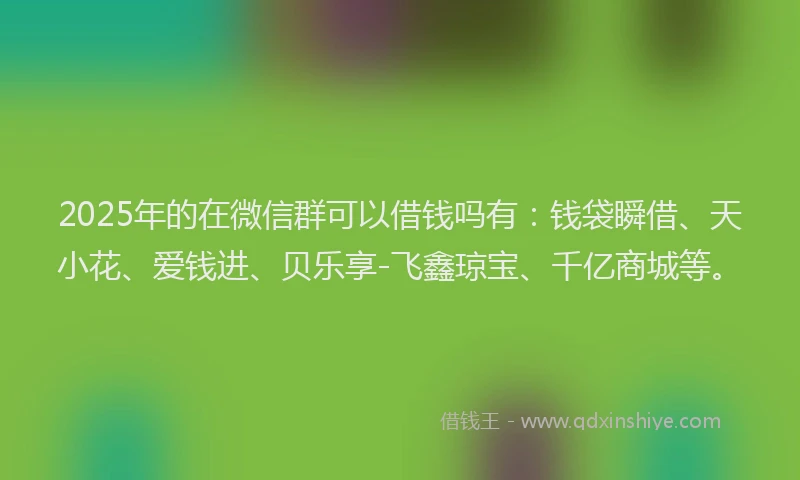 2025年的在微信群可以借钱吗有：钱袋瞬借、天小花、爱钱进、贝乐享-飞鑫琼宝、千亿商城等。