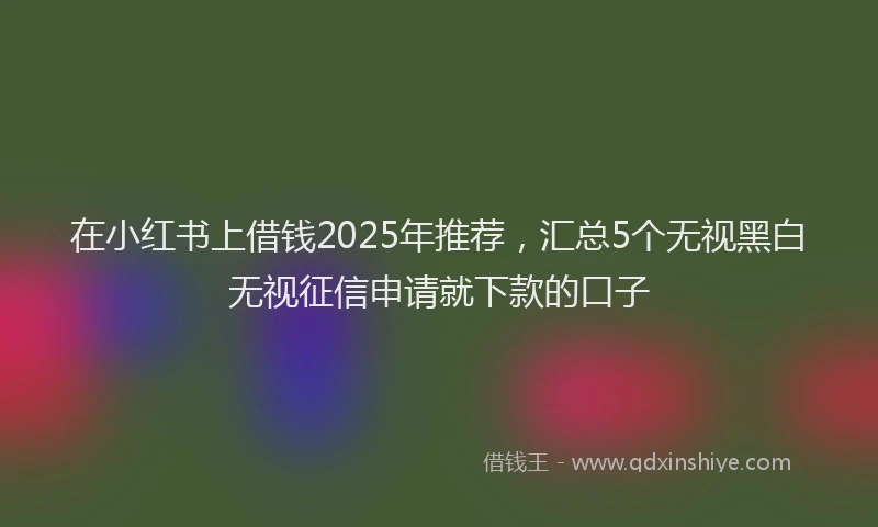 在小红书上借钱2025年推荐，汇总5个无视黑白无视征信申请就下款的口子