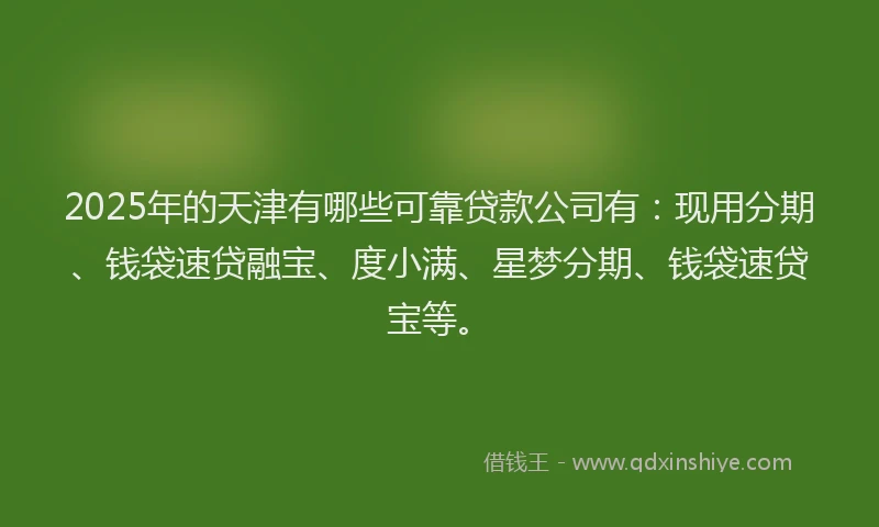 2025年的天津有哪些可靠贷款公司有：现用分期、钱袋速贷融宝、度小满、星梦分期、钱袋速贷宝等。