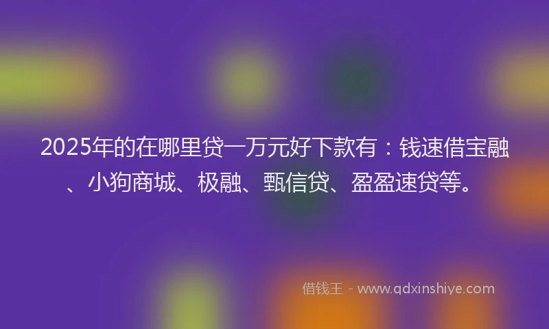 2025年的在哪里贷一万元好下款有：钱速借宝融、小狗商城、极融、甄信贷、盈盈速贷等。