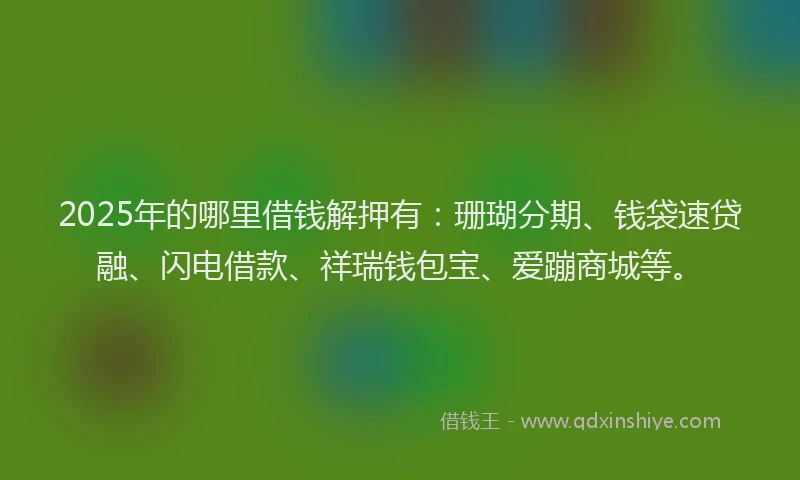 2025年的哪里借钱解押有：珊瑚分期、钱袋速贷融、闪电借款、祥瑞钱包宝、爱蹦商城等。