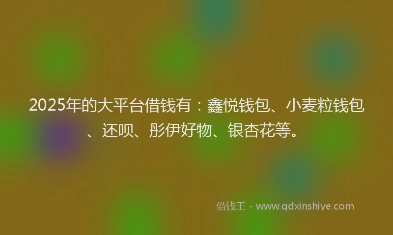 2025年的大平台借钱有：鑫悦钱包、小麦粒钱包、还呗、彤伊好物、银杏花等。