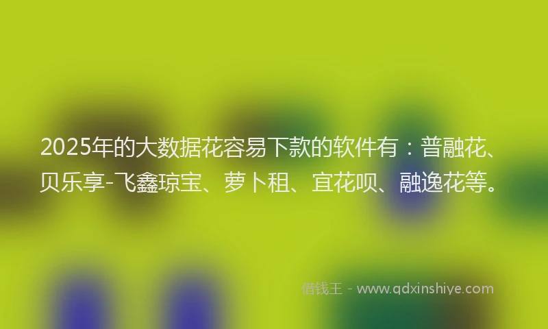 2025年的大数据花容易下款的软件有：普融花、贝乐享-飞鑫琼宝、萝卜租、宜花呗、融逸花等。