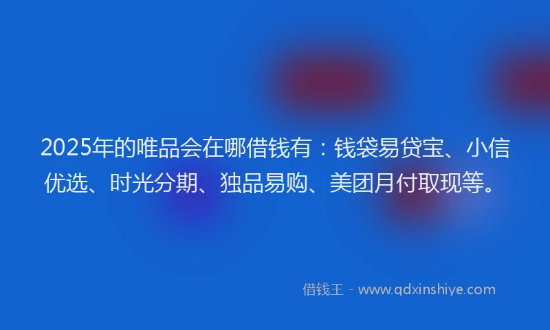 2025年的唯品会在哪借钱有：钱袋易贷宝、小信优选、时光分期、独品易购、美团月付取现等。