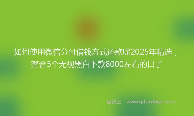 如何使用微信分付借钱方式还款呢2025年精选，整合5个无视黑白下款8000左右的口子