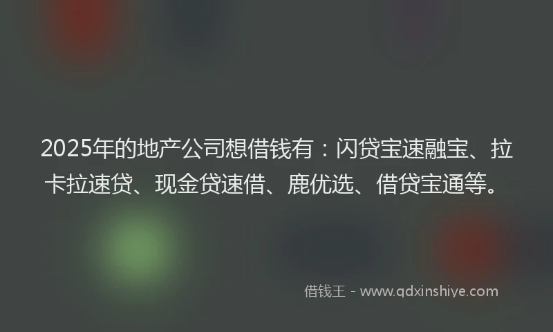 2025年的地产公司想借钱有：闪贷宝速融宝、拉卡拉速贷、现金贷速借、鹿优选、借贷宝通等。