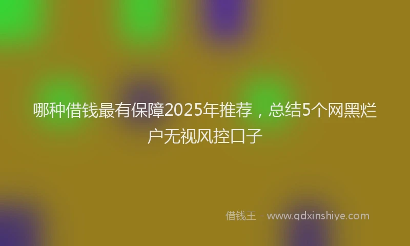 哪种借钱最有保障2025年推荐，总结5个网黑烂户无视风控口子