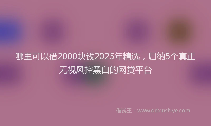 哪里可以借2000块钱2025年精选，归纳5个真正无视风控黑白的网贷平台