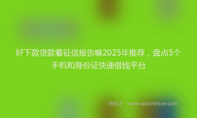 好下款贷款看征信报告嘛2025年推荐，盘点5个手机和身份证快速借钱平台