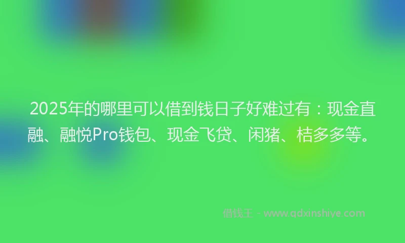 2025年的哪里可以借到钱日子好难过有：现金直融、融悦Pro钱包、现金飞贷、闲猪、桔多多等。