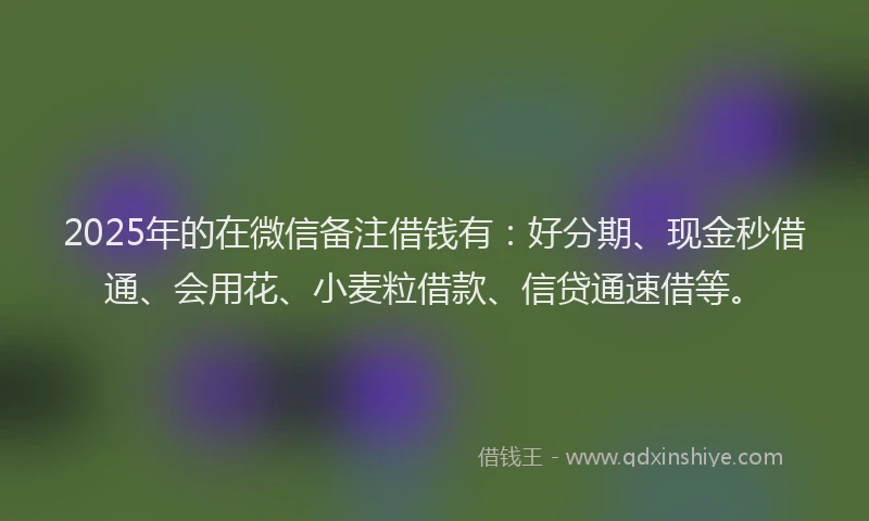 2025年的在微信备注借钱有：好分期、现金秒借通、会用花、小麦粒借款、信贷通速借等。