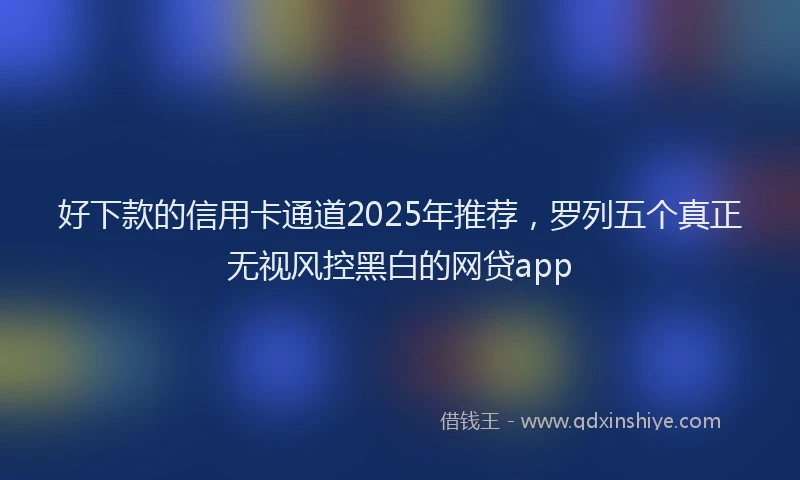 好下款的信用卡通道2025年推荐，罗列五个真正无视风控黑白的网贷app