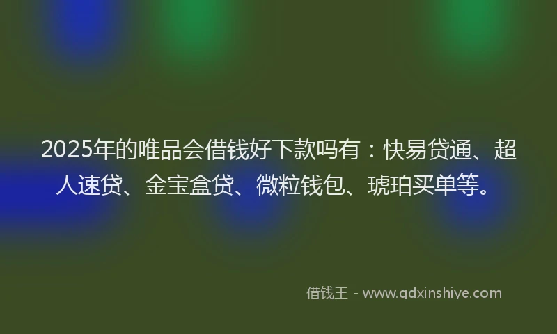 2025年的唯品会借钱好下款吗有：快易贷通、超人速贷、金宝盒贷、微粒钱包、琥珀买单等。