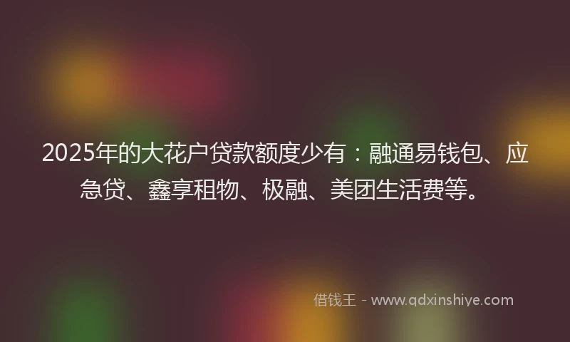2025年的大花户贷款额度少有：融通易钱包、应急贷、鑫享租物、极融、美团生活费等。