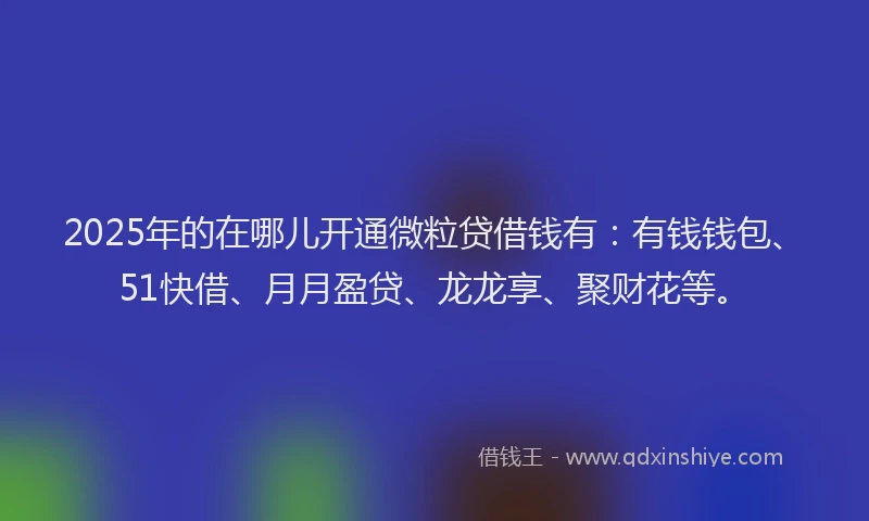 2025年的在哪儿开通微粒贷借钱有：有钱钱包、51快借、月月盈贷、龙龙享、聚财花等。