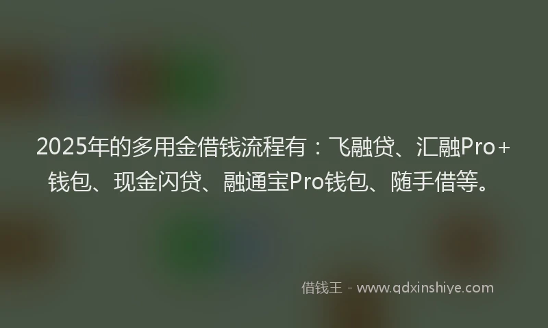 2025年的多用金借钱流程有：飞融贷、汇融Pro+钱包、现金闪贷、融通宝Pro钱包、随手借等。