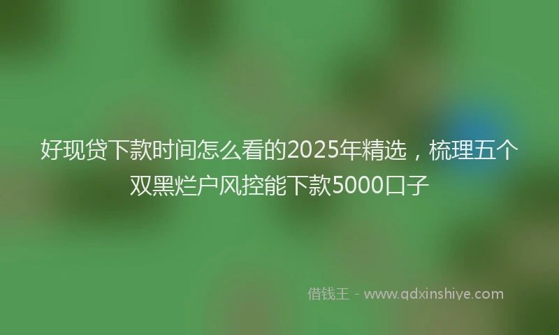 好现贷下款时间怎么看的2025年精选，梳理五个双黑烂户风控能下款5000口子