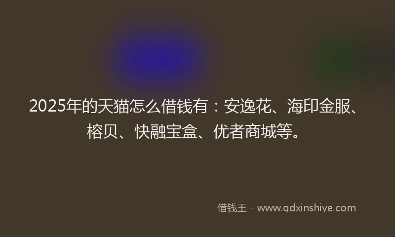2025年的天猫怎么借钱有：安逸花、海印金服、榕贝、快融宝盒、优者商城等。
