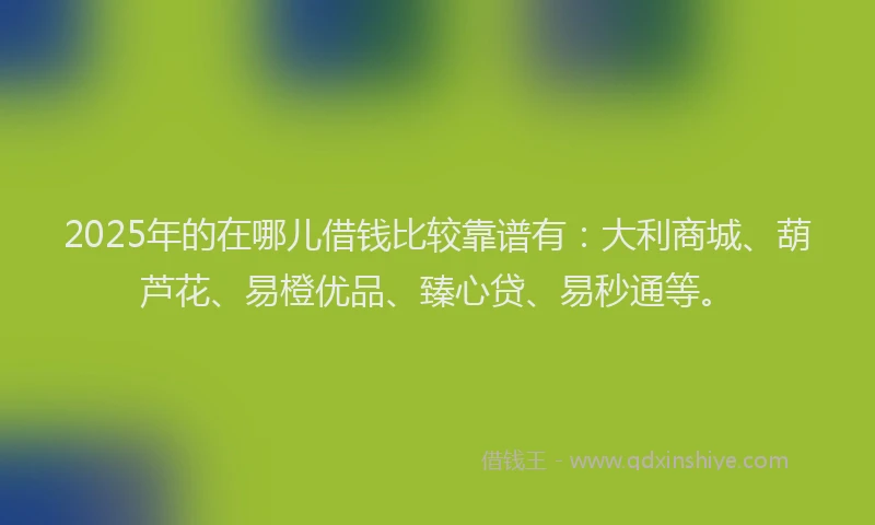 2025年的在哪儿借钱比较靠谱有：大利商城、葫芦花、易橙优品、臻心贷、易秒通等。